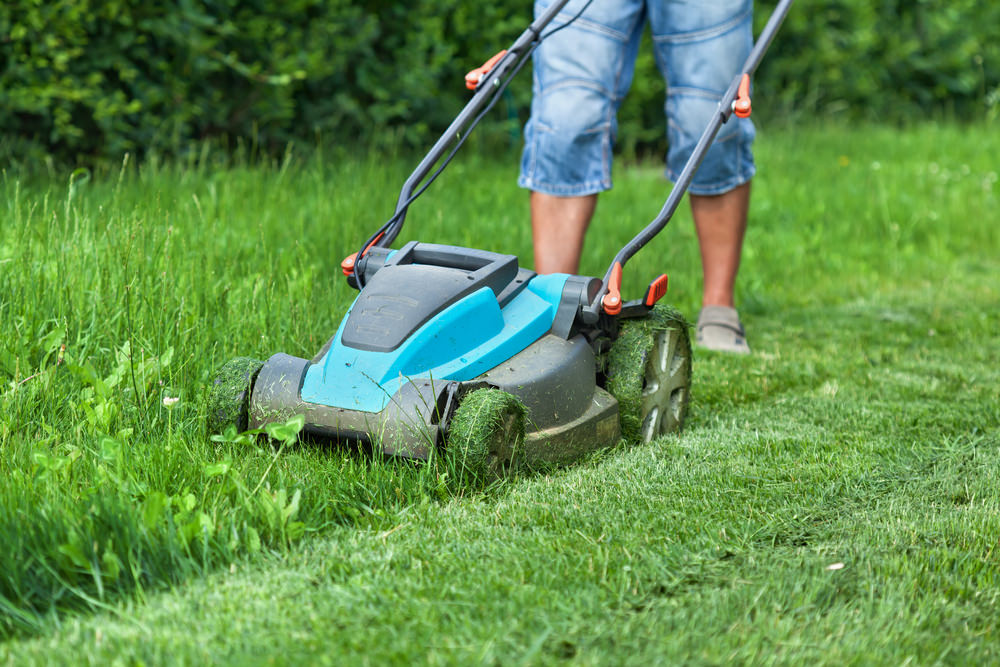 picture-of-small-lawnmower-cutting-grass